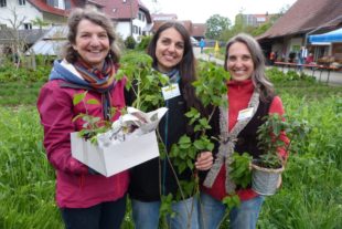2019-4-29-ZE-UE-bia-Pflanzentauschtag-SP drei 1