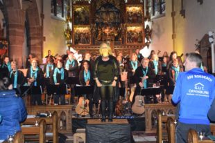 2019-4-3-NO-hv-Gitarrenverein-Benefizkonzert-DSC_0350