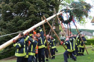 Archivfoto 2018-4-30-ZE-UE-hps-Maibaum-DSC_8492