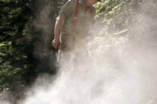 Im Wald beim Koehler