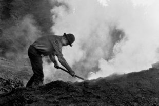 2019-5-10-NO-Gemeinde-Köhlertage-Köhler arbeitend mit Hacke