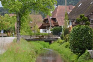 2019-5-10-ZE-UE-hps-Dorfbach-DSC_6971 2