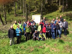 Höhenhöfe und Neuglashütten