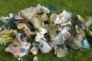 2019-5-22-BI-Martina Gauss-Abfall sammeln 20190417Tagesbeute