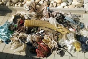 2019-5-22-BI-Martina Gauss-Abfall sammeln 20190418letzterTag