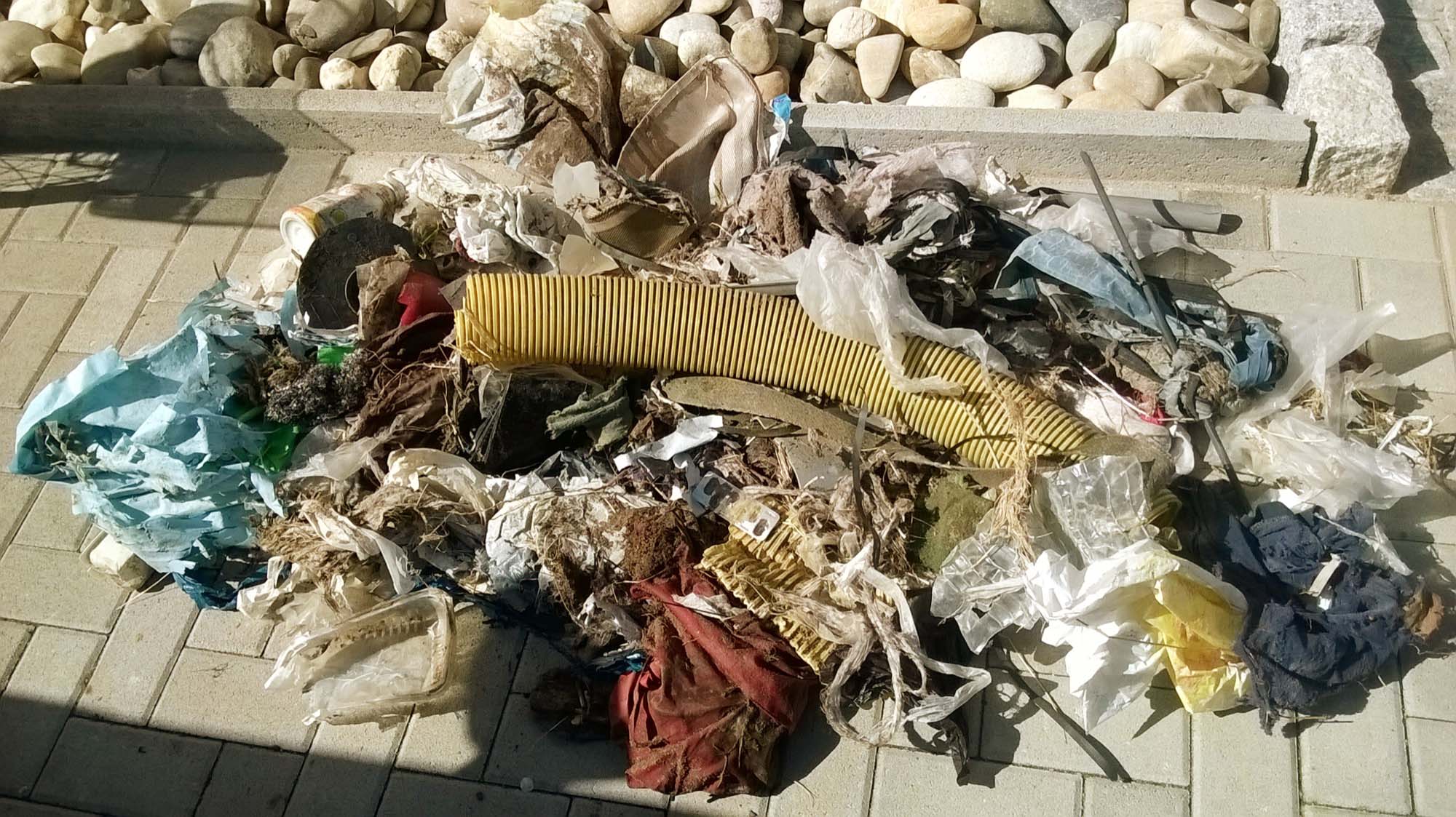 2019-5-22-BI-Martina Gauss-Abfall sammeln 20190418letzterTag