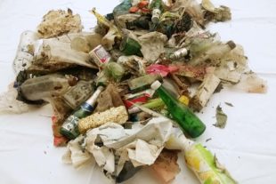 2019-5-22-BI-Martina Gauss- Tagesportion