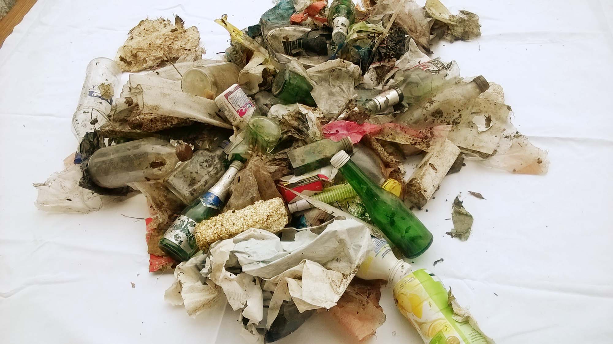 2019-5-22-BI-Martina Gauss- Tagesportion