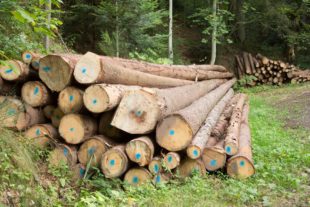 2019-5-22-OH-kal-FBG-vkMG8A8694