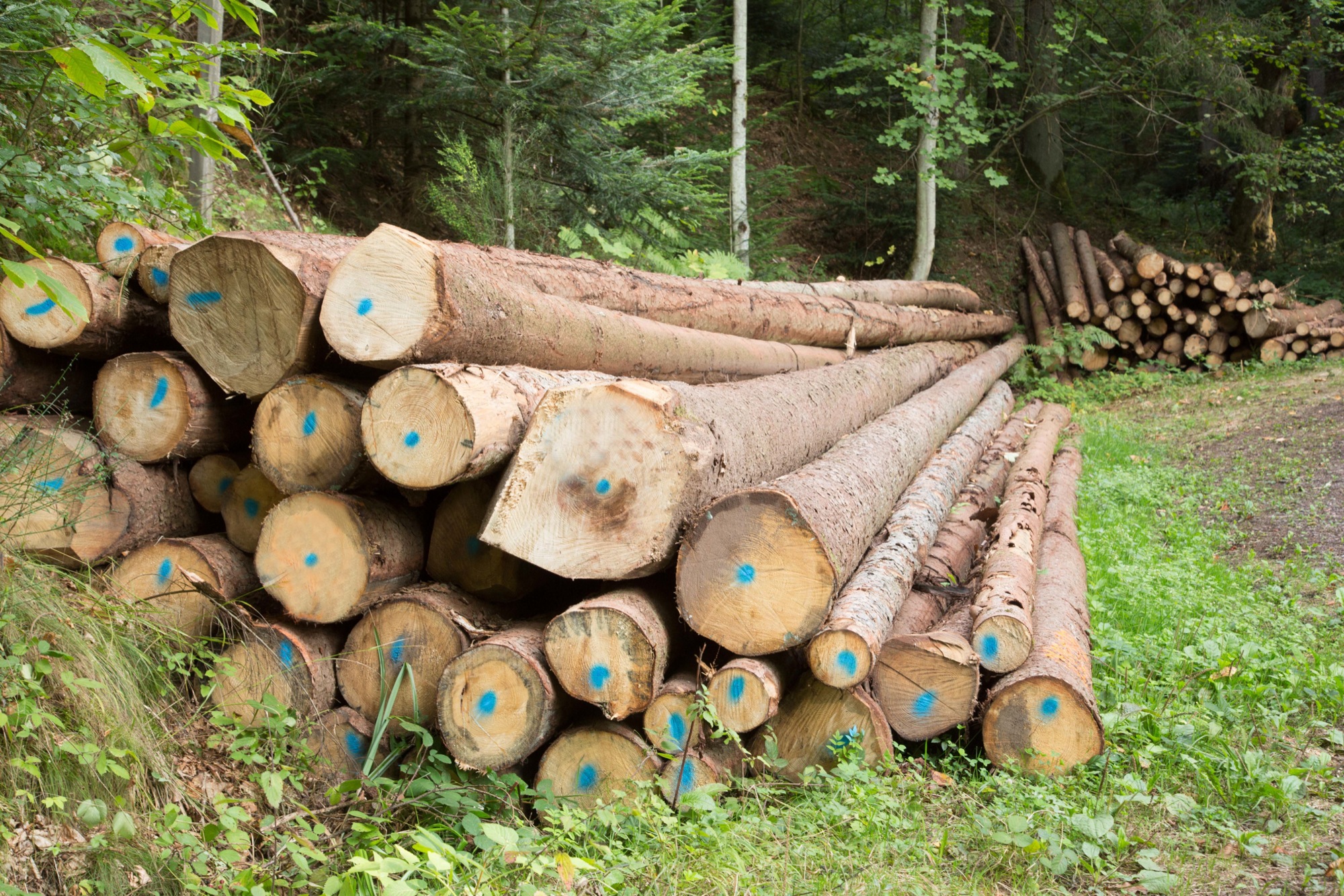 2019-5-22-OH-kal-FBG-vkMG8A8694