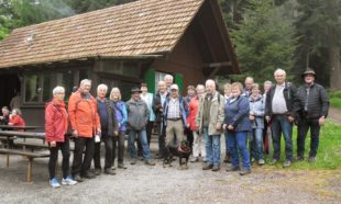Moos hat für Entdecker viel zu bieten