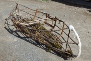 2019-5-24-NO-privat-Dieter Junker-Explorer Skelett Kopie