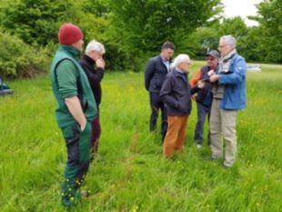 Von Füchsen, Falken und Fischen