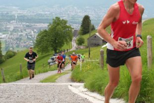 2019-5-28-ZE-UH-s-LG Brandenkopf-Lothar Killig GamperneyBerglauf2019