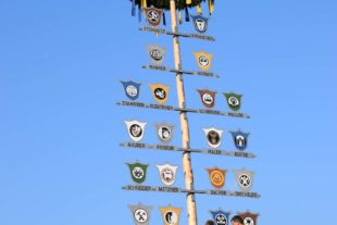 2019-5-3-BI-DS-4-30-BI-DS-Maibaumstellen-DSC_0725