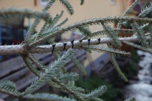 2019-5-3-OH-kal-Maifescht-zvkIMG_7790