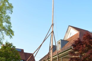 2019-5-3-ZE-UE-hps-Maibaumstellen-DSC_6899 2