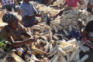 2019-5-6-Mosambik nach Zyklon-1-Foto SMMP für Beitrag von Veronika Lehmann
