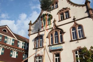 2019-5-8-OH-kal-Maibaum-zvkIMG_7829