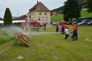 2019-6-11-BI-PB-hps-Feuerwehrfest Prinzbach-DSC_7786 2
