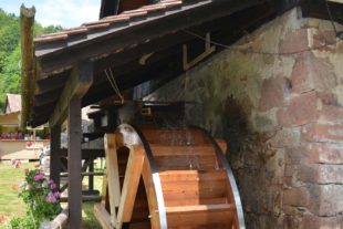 2019-6-11-NO-hps-Mühlenfest-DSC_7793