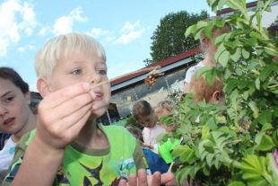 2019-6-11-OH-Brandenkopfschule IMG_0745