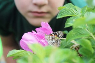 2019-6-11-OH-Brandenkopfschule IMG_0754