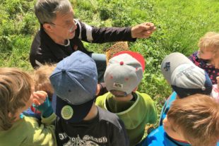 2019-6-11-OH-Nadine Müller-Kinderhaus Sonnenblume-Bienen Imker Kreativ-IMG_2101