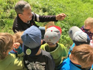 Kindergartenkinder zu Besuch bei den Bienen