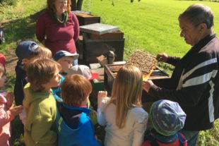 2019-6-11-OH-Nadine Müller-Kinderhaus Sonnenblume-Bienen Imker Kreativ-IMG_2106