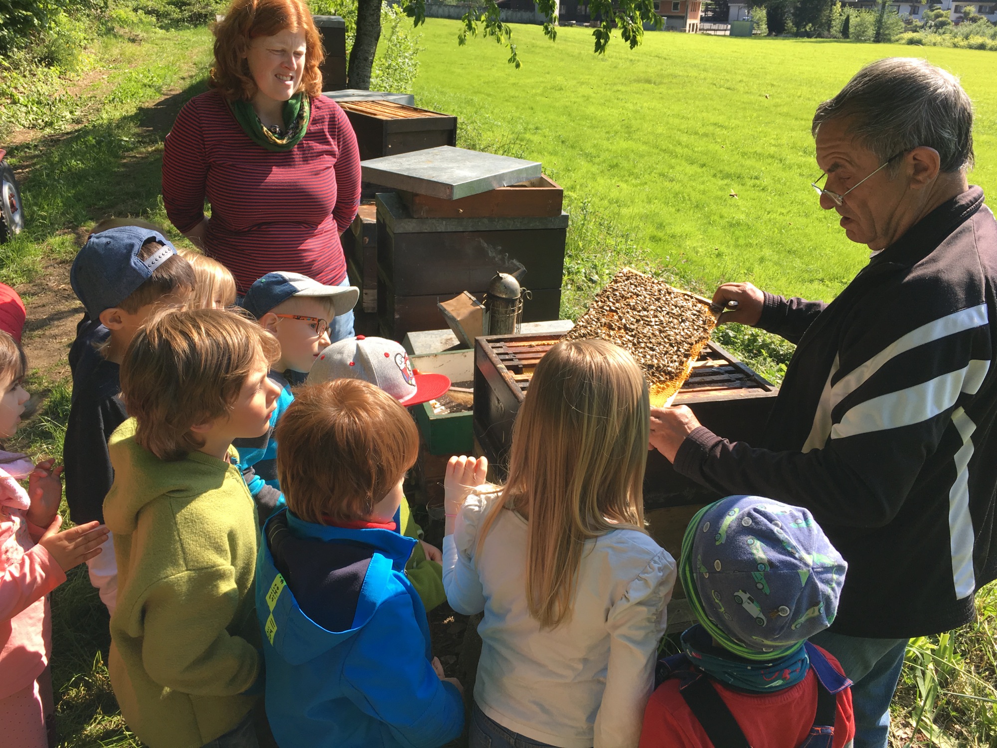 2019-6-11-OH-Nadine Müller-Kinderhaus Sonnenblume-Bienen Imker Kreativ-IMG_2106