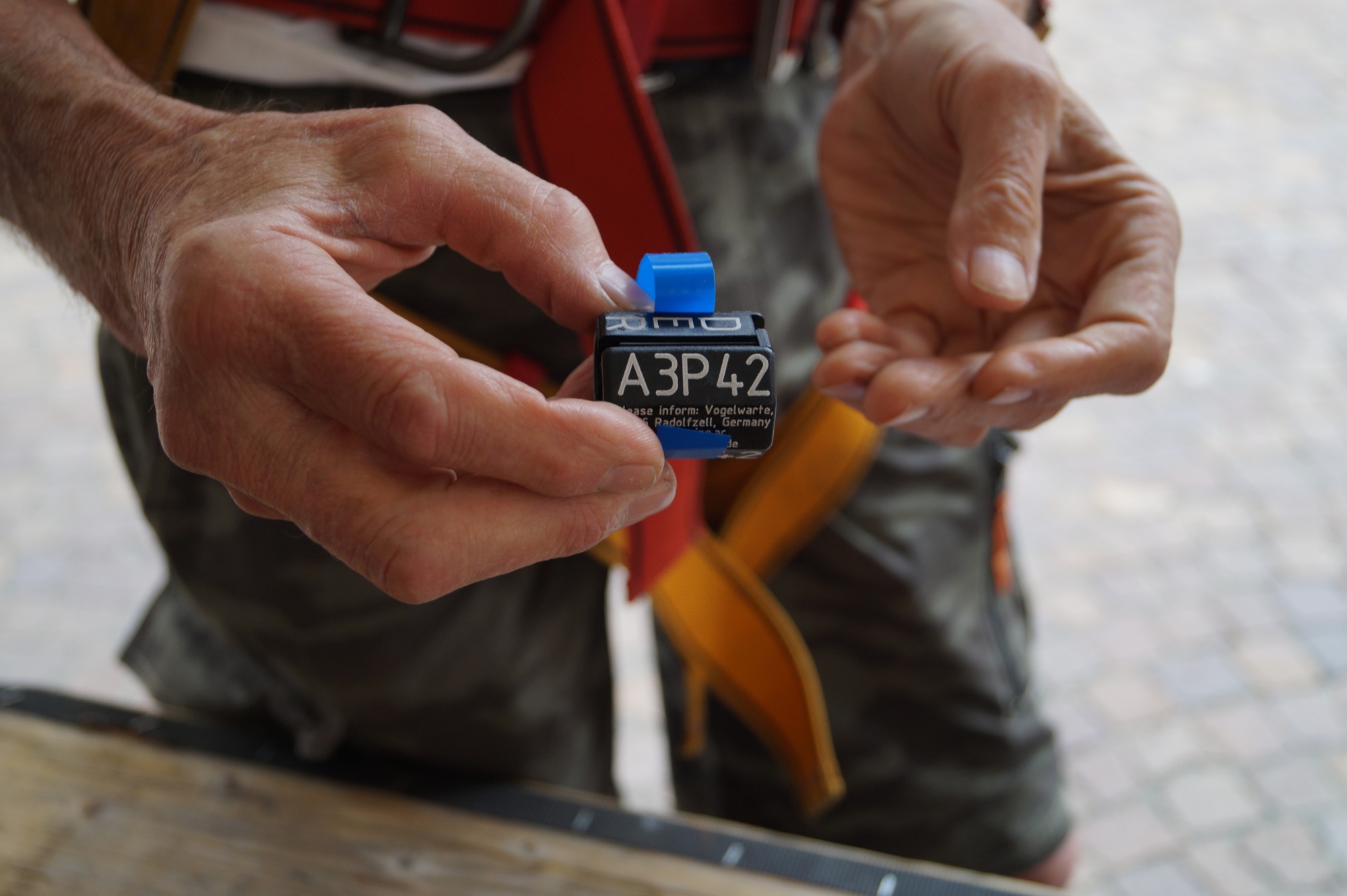 2019-6-11-ZE-Uschi Guggenbühler DSC03534