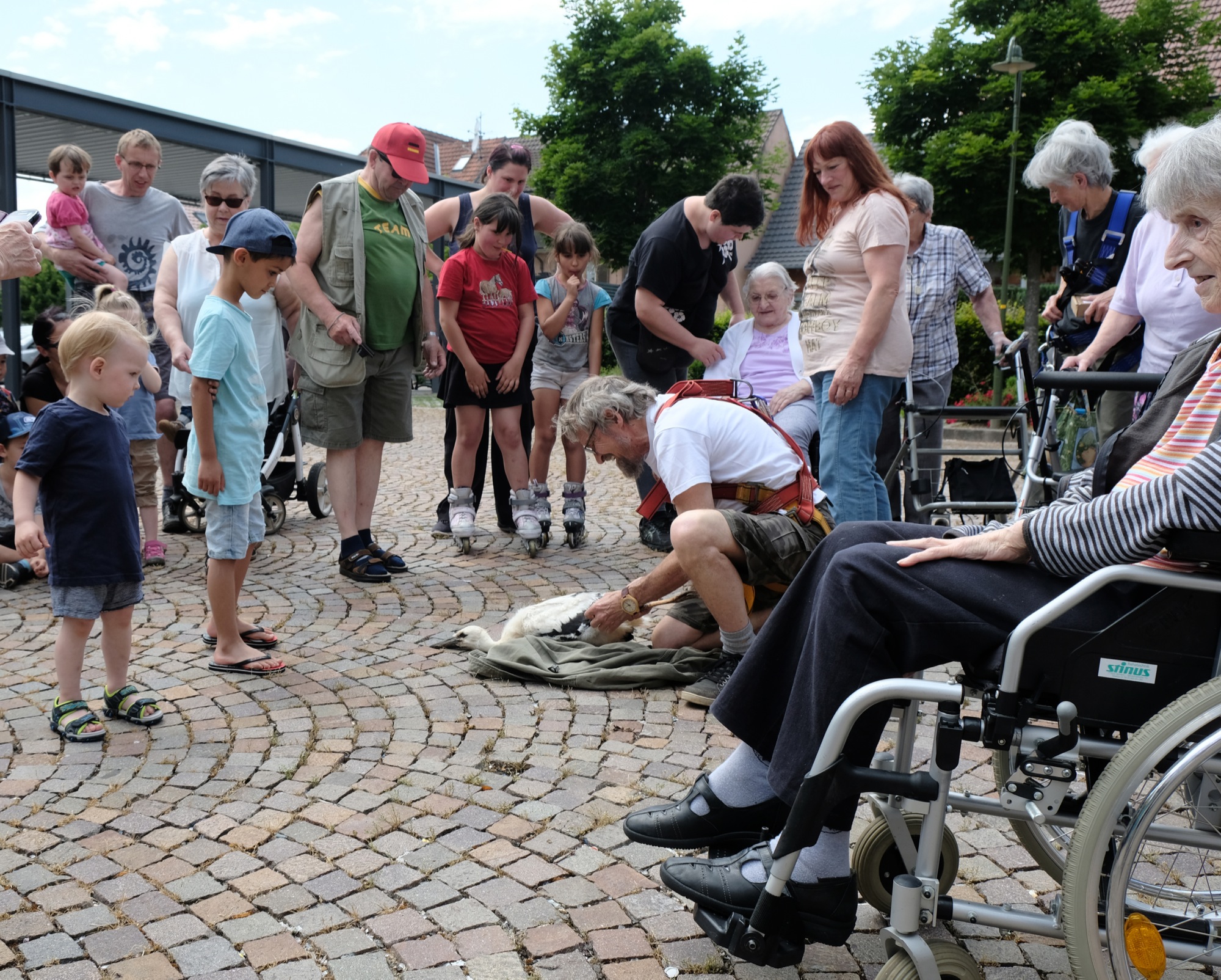 2019-6-11-ZE-vo-Storchenberingung 2019 DSCF8161