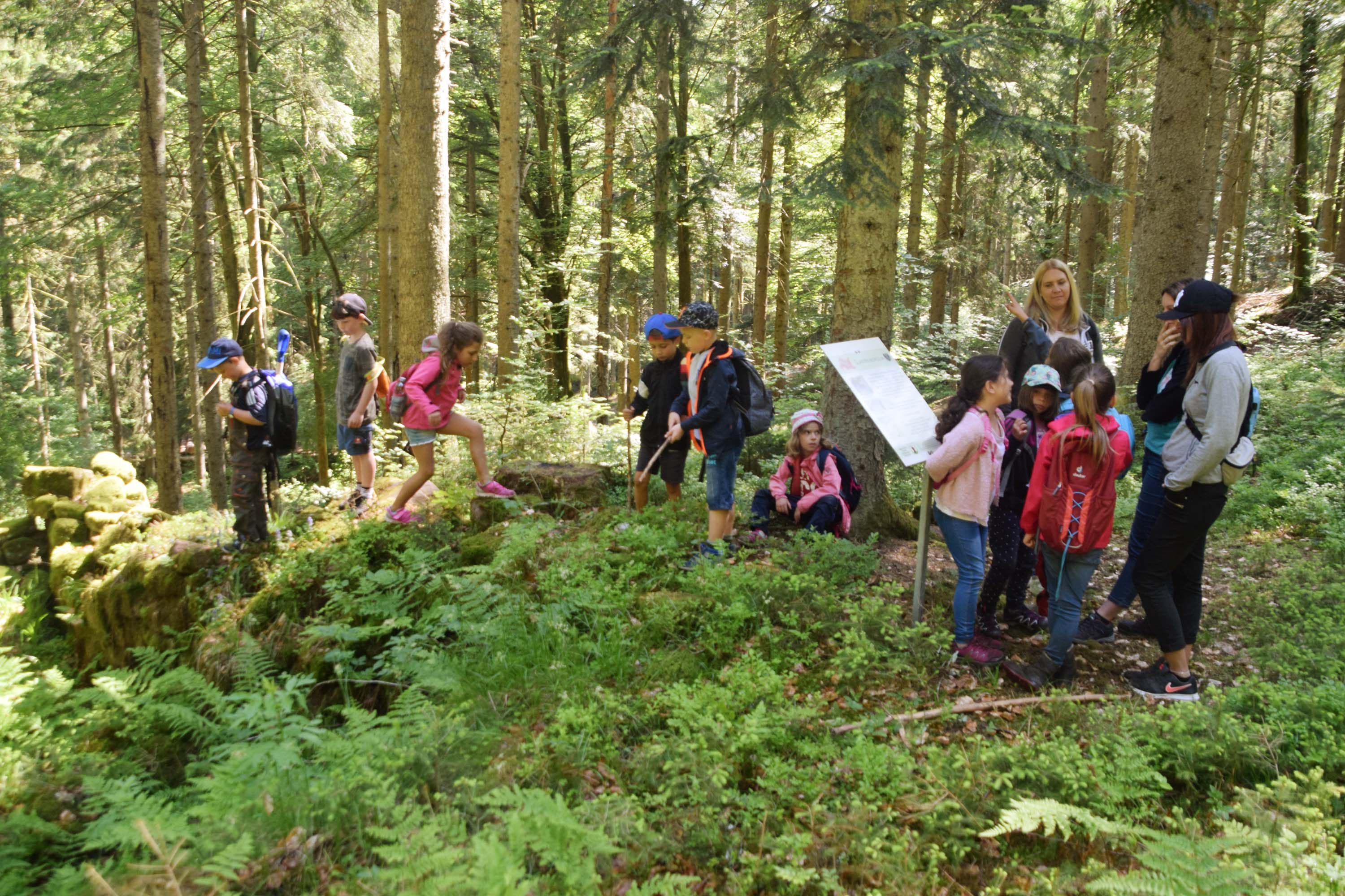 2019-6-12-NO-hv-Erstklässler auf Erkundungstour DSC_0757