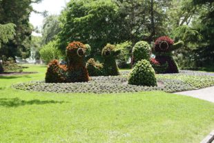 2019-6-14-NO-privat-Landfrauen-DSC_0419