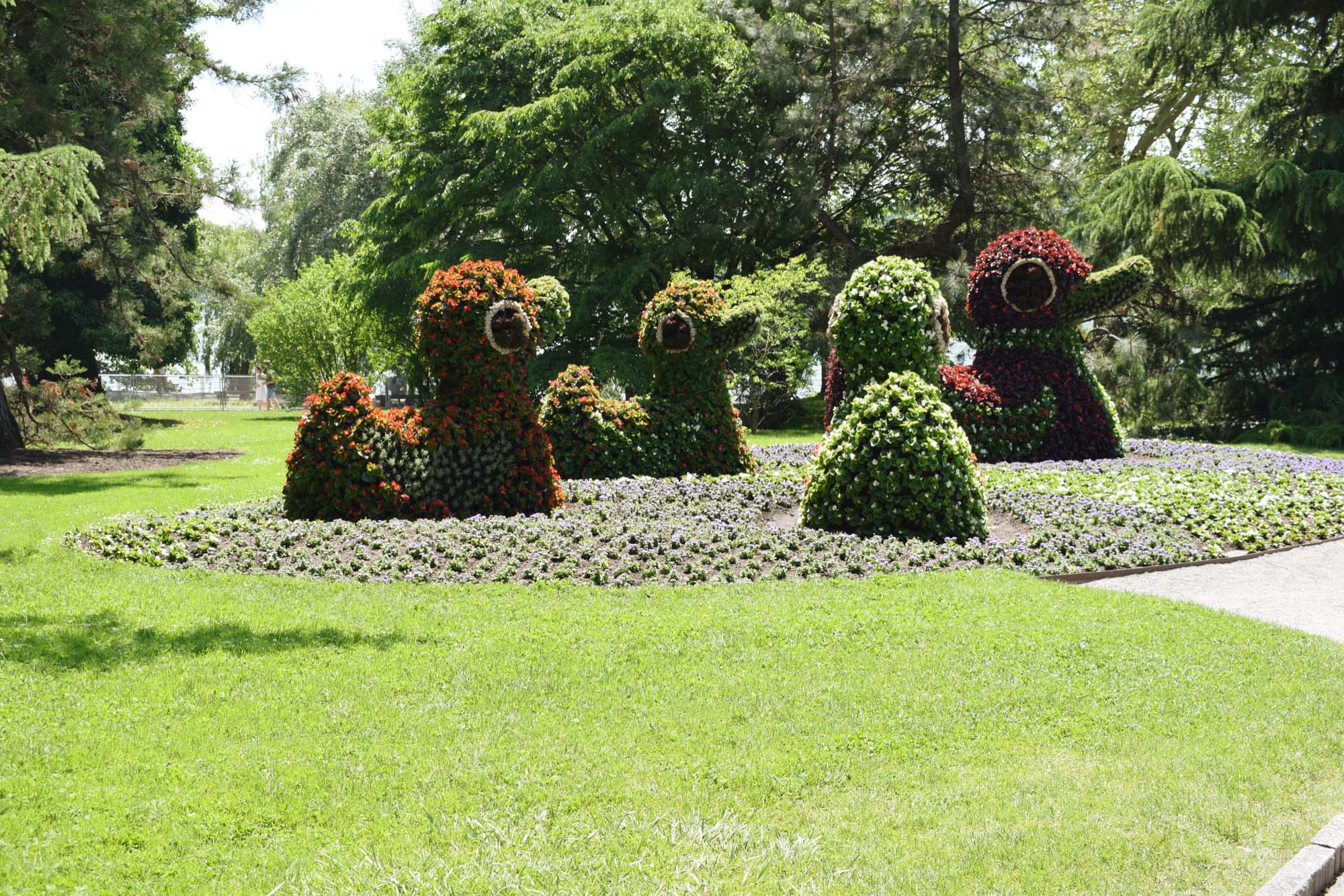 2019-6-14-NO-privat-Landfrauen-DSC_0419