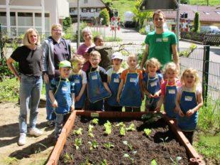 Kleine Gärtner pflanzen Gemüse