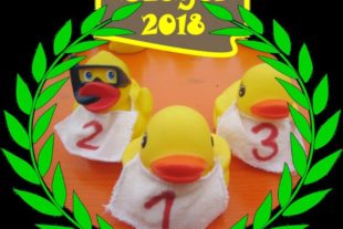 2019-6-14-OH-VdK Entenrennen