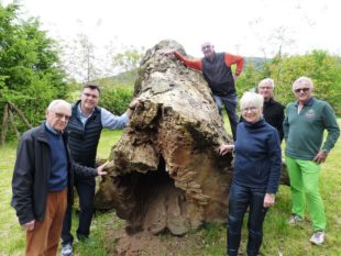 Alles andere als ökologische Wüste