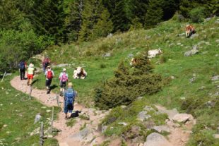 2019-6-21-NO-mh-Alpenverein Vogesentour-2019 Vogesen Lac Vert 03