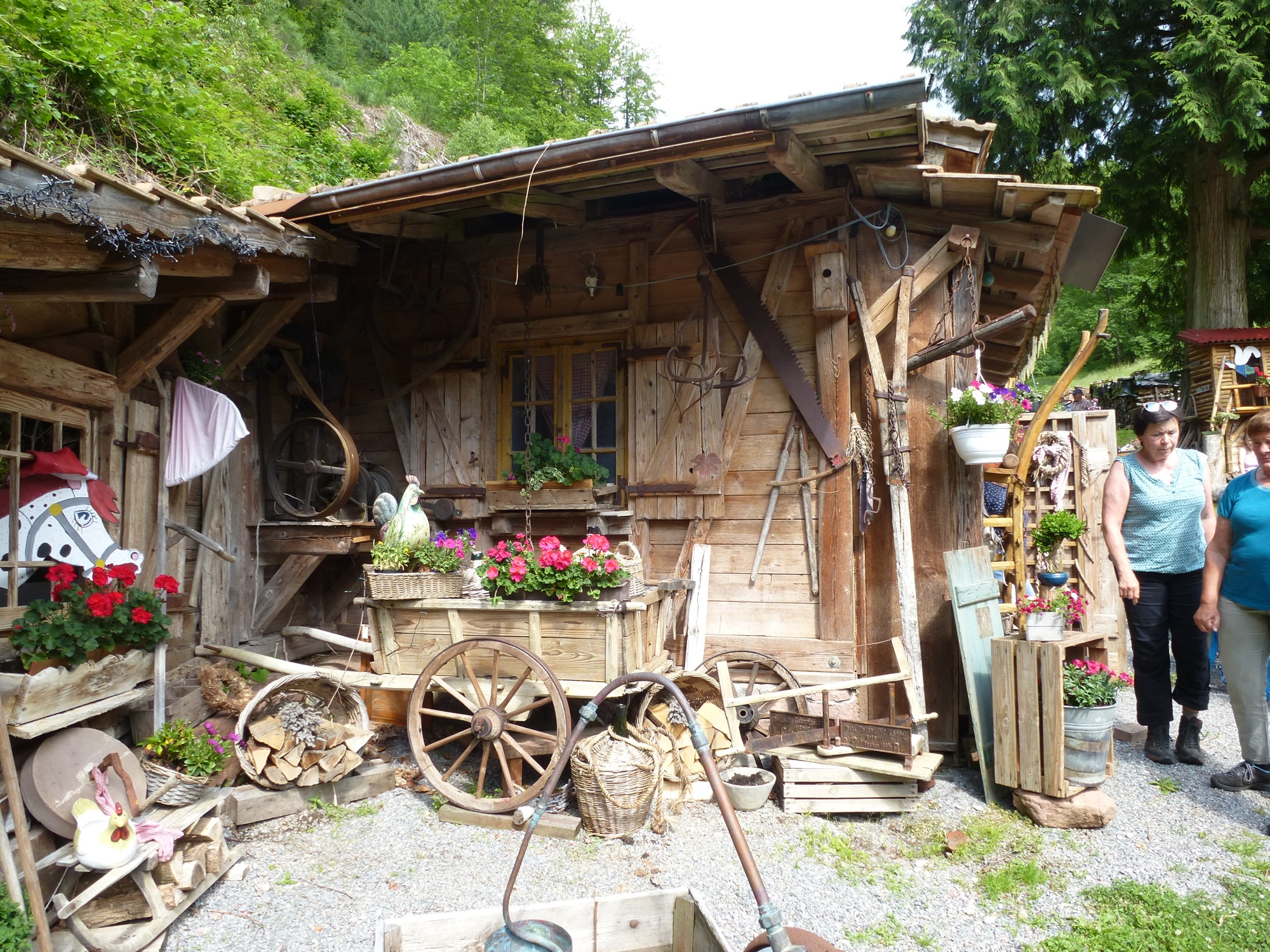 2019-6-21-ZE-UE-esch-Wandergruppe Ruhlsbachschöpfle-P1020090