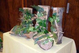 2019-6-5-NO-hv-Schulfest DSC_0697