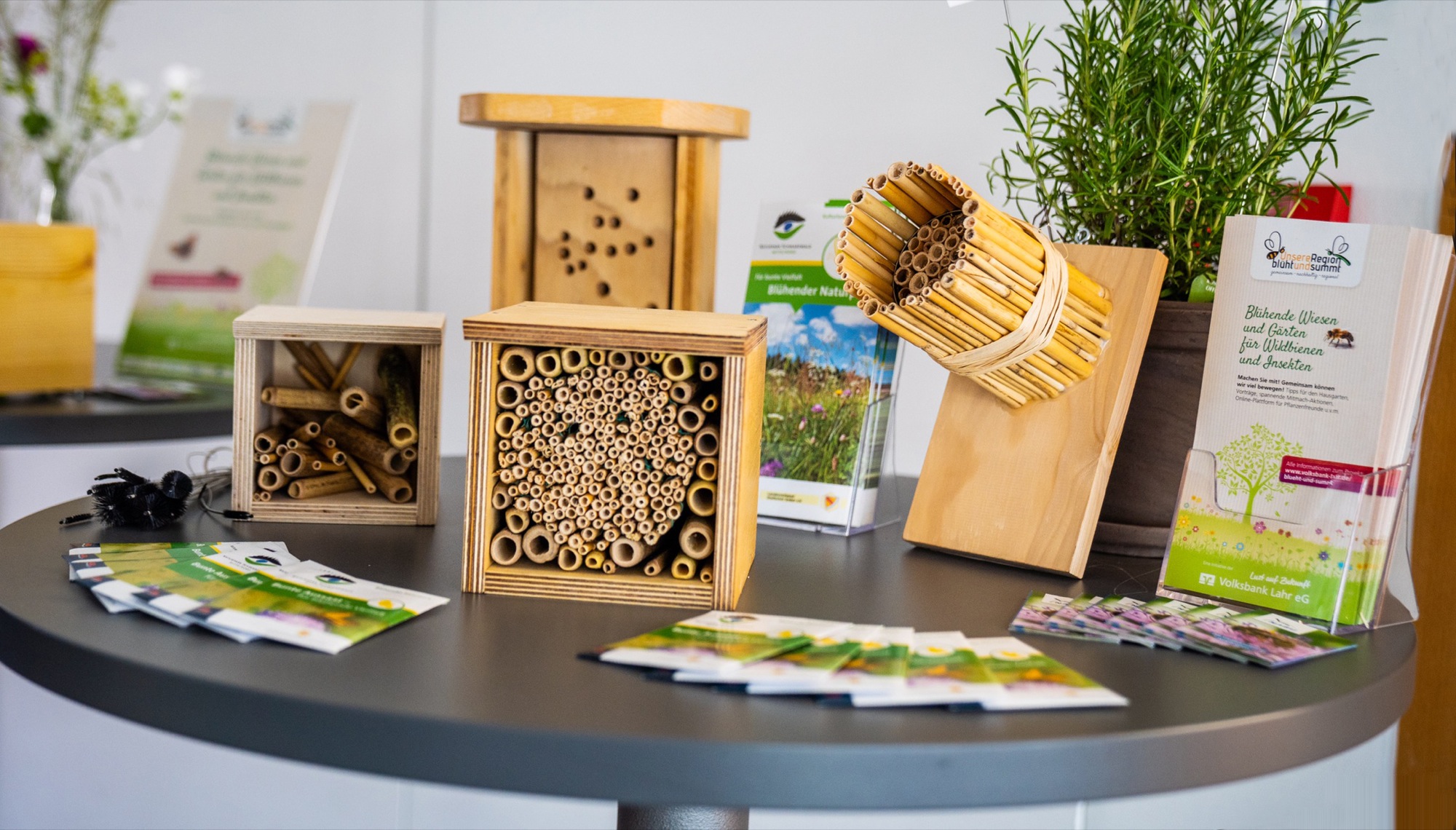 2019-6-7-LR-Susanne Hauser-Volksbank-Pressekonferenz-image00002