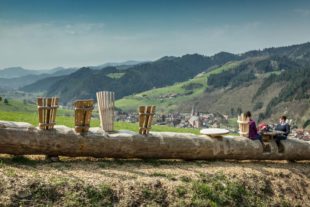 2017-4-13-OH-Harmersbacher Vesperweg-5E0A7646