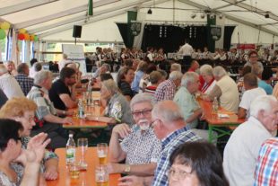 2017-7-10-BI-Stefan Witschel-Blasorchester Biberach-Dorffest-IMG_6959a