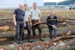 Der Regen ist des Försters Freund