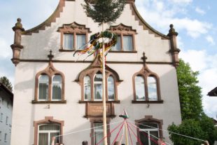 2019-7-19-OH-Lehmann-Archiv-Jahresversammlung-WKO-Planung-Leistungsschau-2019-2019 VB MG8A542