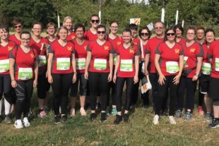 2019-7-19-Seelbach-Lahr-Himmelsbach & Streif-Firmenlauf Lahr 2019-Firmenlauf2