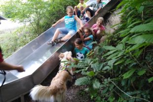 2019-7-31-ZE-UH-Monika Müller-Grundschule Waldtag IMG_20190725_183436_1