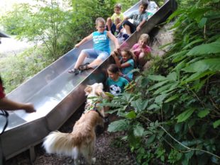 Waldtag mit Pit und Amberboy